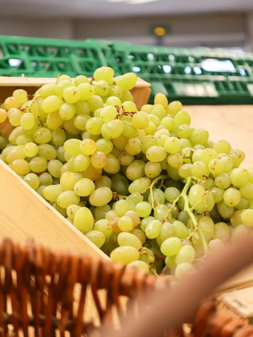 Des grappes de raisin blanc en cagette